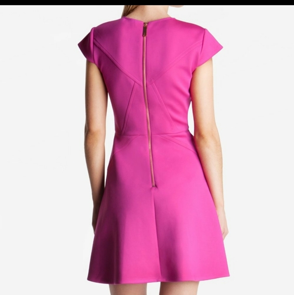 Ted Baker Pink Cap Sleeve Skater Dress - Picture 3 of 8